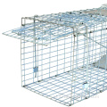 Live Animal Humane Trap Catch Catch